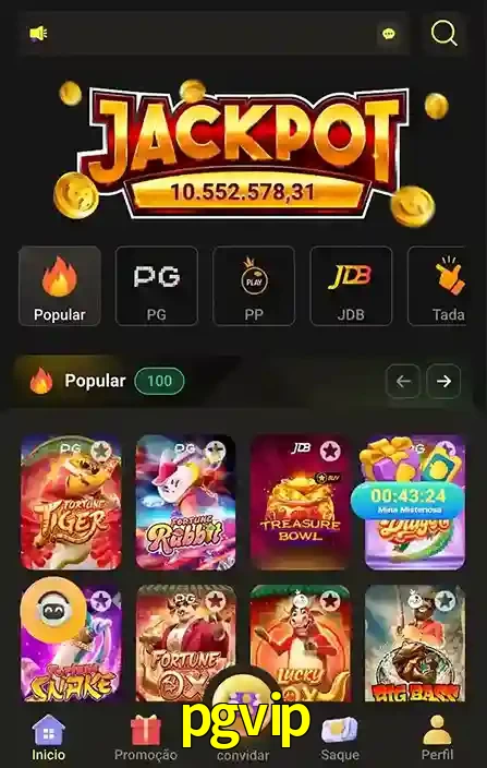 Promoções Especiais no pgvip App